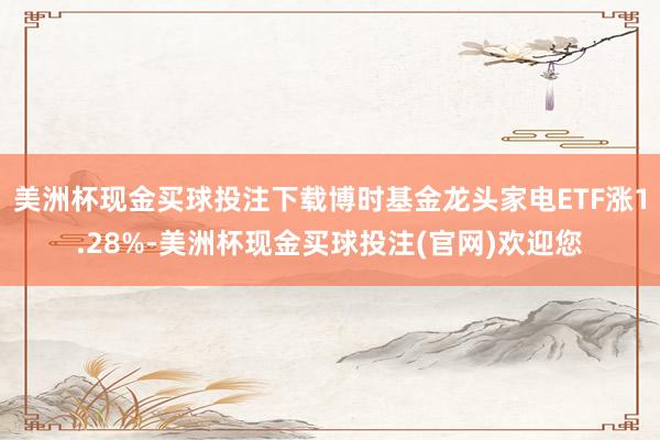 美洲杯现金买球投注下载博时基金龙头家电ETF涨1.28%-美洲杯现金买球投注(官网)欢迎您