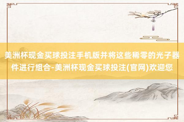 美洲杯现金买球投注手机版并将这些稀零的光子器件进行组合-美洲杯现金买球投注(官网)欢迎您