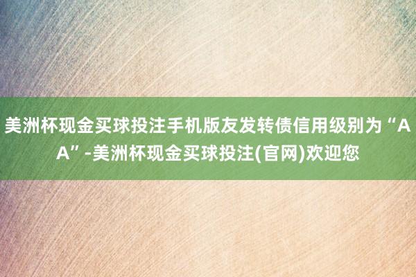 美洲杯现金买球投注手机版友发转债信用级别为“AA”-美洲杯现金买球投注(官网)欢迎您