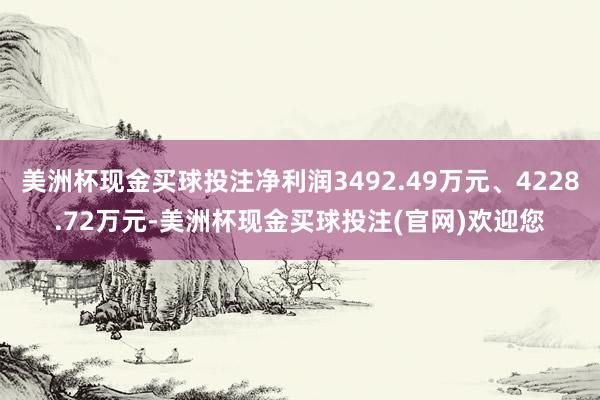 美洲杯现金买球投注净利润3492.49万元、4228.72万元-美洲杯现金买球投注(官网)欢迎您