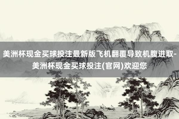 美洲杯现金买球投注最新版飞机翻覆导致机腹进取-美洲杯现金买球投注(官网)欢迎您