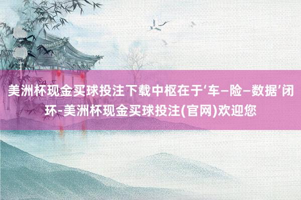 美洲杯现金买球投注下载中枢在于‘车—险—数据’闭环-美洲杯现金买球投注(官网)欢迎您