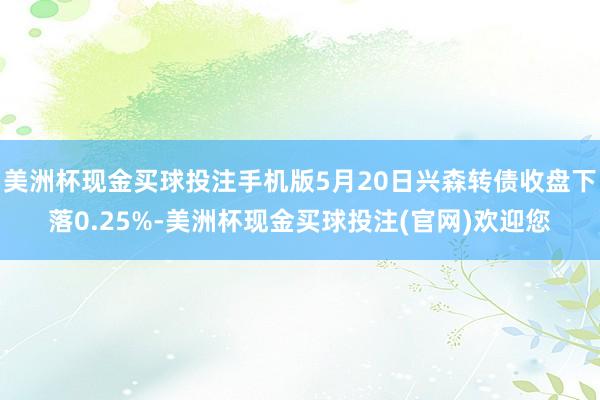 美洲杯现金买球投注手机版5月20日兴森转债收盘下落0.25%-美洲杯现金买球投注(官网)欢迎您