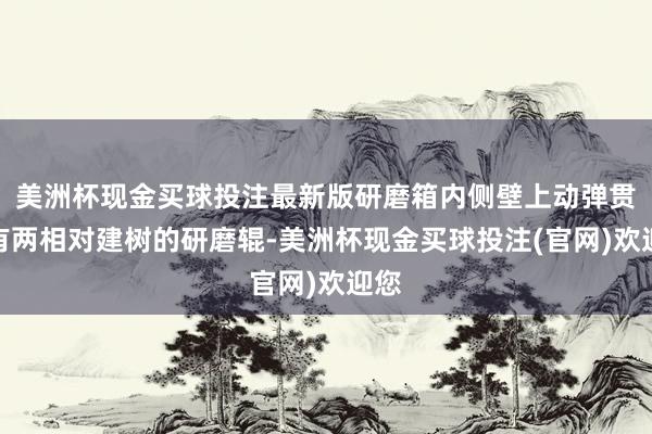 美洲杯现金买球投注最新版研磨箱内侧壁上动弹贯串有两相对建树的研磨辊-美洲杯现金买球投注(官网)欢迎您