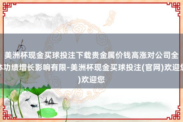 美洲杯现金买球投注下载贵金属价钱高涨对公司全体功绩增长影响有限-美洲杯现金买球投注(官网)欢迎您