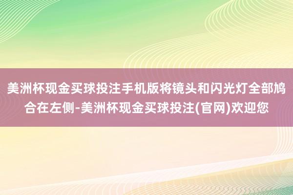美洲杯现金买球投注手机版将镜头和闪光灯全部鸠合在左侧-美洲杯现金买球投注(官网)欢迎您