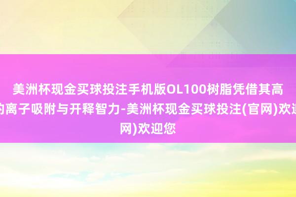 美洲杯现金买球投注手机版OL100树脂凭借其高效的离子吸附与开释智力-美洲杯现金买球投注(官网)欢迎您