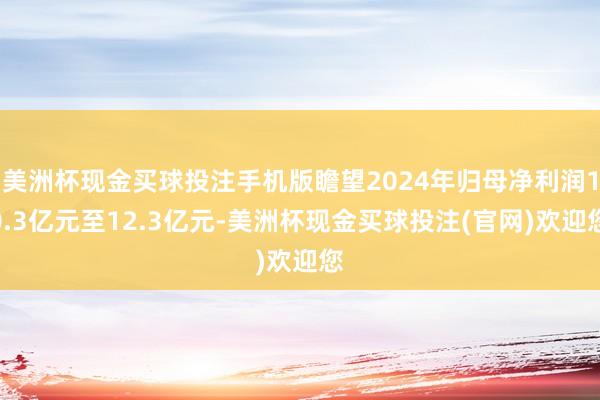 美洲杯现金买球投注手机版瞻望2024年归母净利润10.3亿元至12.3亿元-美洲杯现金买球投注(官网)欢迎您