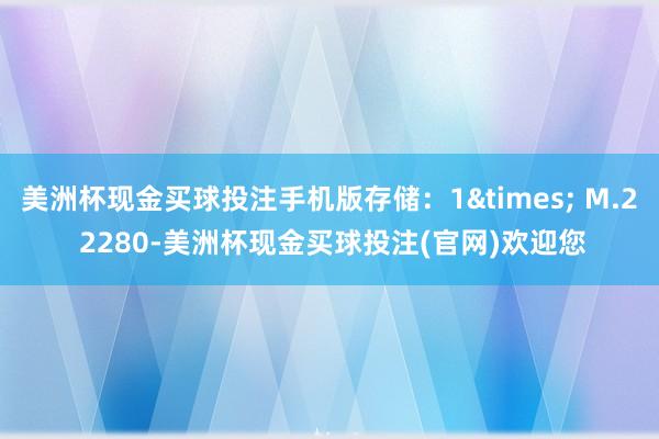 美洲杯现金买球投注手机版存储：1&times; M.2 2280-美洲杯现金买球投注(官网)欢迎您