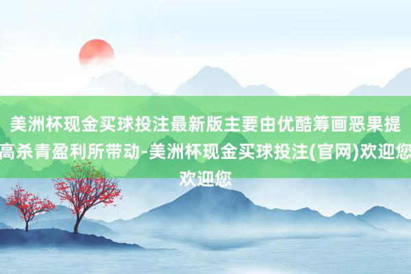美洲杯现金买球投注最新版主要由优酷筹画恶果提高杀青盈利所带动-美洲杯现金买球投注(官网)欢迎您