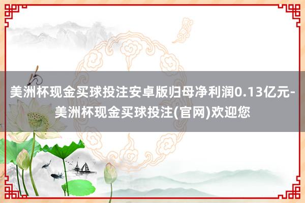 美洲杯现金买球投注安卓版归母净利润0.13亿元-美洲杯现金买球投注(官网)欢迎您