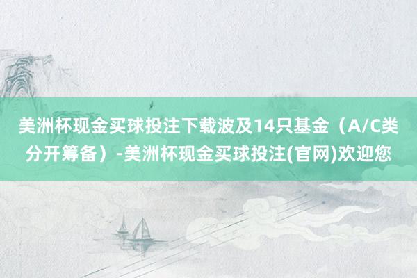 美洲杯现金买球投注下载波及14只基金(A/C类分开筹备)-美洲杯现金买球投注(官网)欢迎您