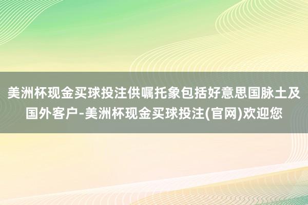 美洲杯现金买球投注供嘱托象包括好意思国脉土及国外客户-美洲杯现金买球投注(官网)欢迎您